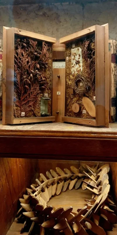 Display of a historical botanical collection inside the Strahov library, featuring preserved plant samples arranged in wooden cases and a lower compartment filled with carved wooden specimens.